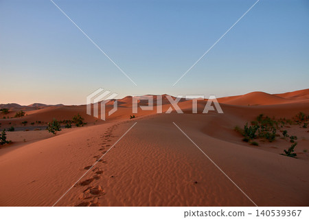 Reddish sand dunes stretch out beneath a clear blue sky in the Merzouga Desert in Morocco. 140539367