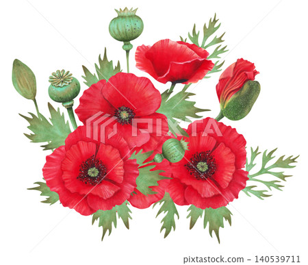 Composition of poppy buds with petals and capsules. Watercolor illustration. Poppy Day. Hand drawn isolated art. Image of a botanical plant. Spring and labor holiday. Remembrance. ANZAC Day 140539711