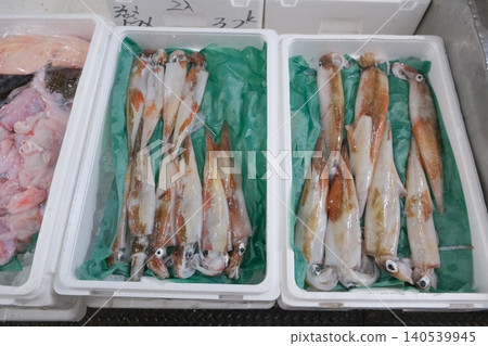 Squid lined up in the market Squid lined up in the market 140539945