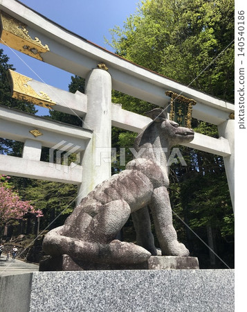 The torii gate and wolf statue at Mitsumine Shrine 140540186