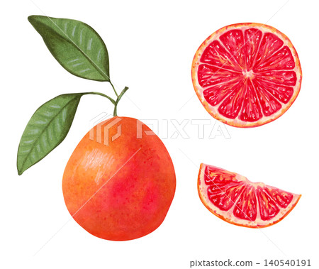 Collection of whole grapefruit, halves, slices with green leaves. Organic fruit. Watercolor hand drawn illustration. Healthy product for food packaging, juices. Clipart on the theme of healthy food 140540191
