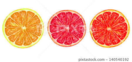 Juicy half of a red grapefruit or orange. Watercolor botanical illustration. Hand drawn isolated clip art. Healthy citrus fruit for juice packaging, menu items. Production, harvesting 140540192