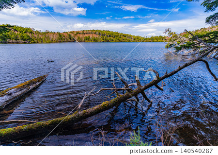 [Nagano Prefecture] Shirakoma Pond: A lakeside promenade covered in mystical moss. 140540287