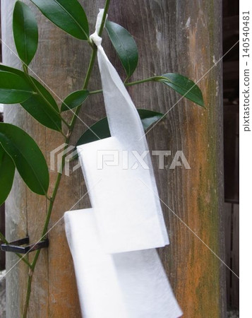 A wooden pillar adorned with sakaki branches and shide paper streamers, symbolizing traditional Japanese Shinto rituals. A wooden pillar adorned with sakaki branches and shide paper streamers, symbolizing traditional Japanese Shinto rituals. 140540481