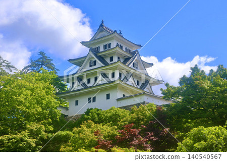 Gujo Hachiman Castle in spring (Gujo City, Gifu Prefecture) Gujo Hachiman Castle in spring (Gujo City, Gifu Prefecture) 140540567