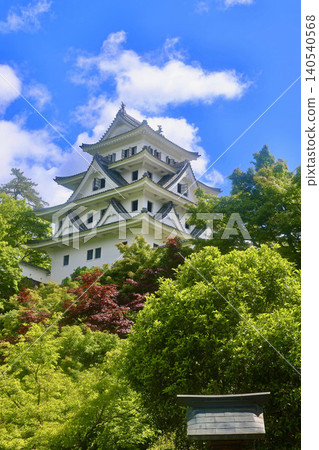 Gujo Hachiman Castle in spring (Gujo City, Gifu Prefecture) Gujo Hachiman Castle in spring (Gujo City, Gifu Prefecture) 140540568