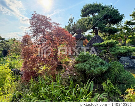 初夏時節,美麗的日式花園,園內有石燈籠和松樹。 初夏時節,美麗的日式花園,園內有石燈籠和松樹。 140540595