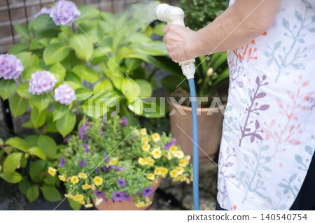 A close-up of a faceless hand watering flowers in a garden; an image reminiscent of a flowerbed in a garden center or flower shop. 140540754