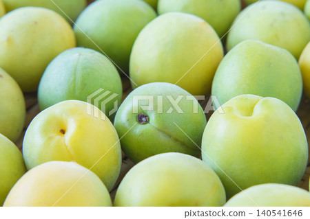 Plum fruit on the colander Plum fruit on the colander 140541646