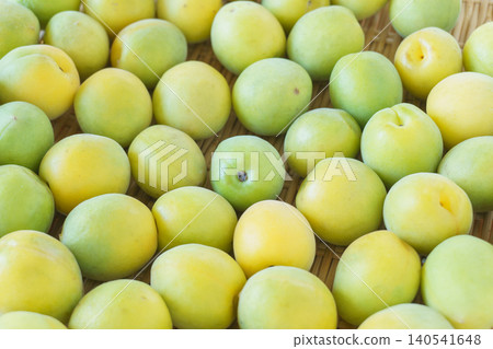 Plum fruit on the colander Plum fruit on the colander 140541648