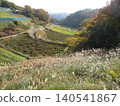 岡山縣高橋市，俯瞰備中松山城的觀景台 140541867