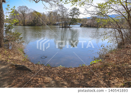 April 26 2026 Onuma Koen Lakeside Forest Walking Trail April 26 2026 Onuma Koen Lakeside Forest Walking Trail 140541893