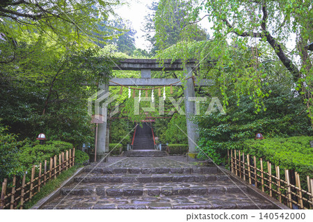 April 29 2026 Osaki Hachiman Shrine entrance pathway after rain April 29 2026 Osaki Hachiman Shrine entrance pathway after rain 140542000