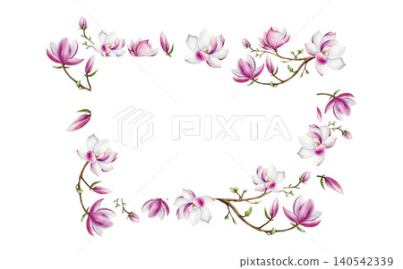 Magnolia branch frame with pink flowers. Watercolor hand drawn spring lush blossom with green buds on a tree illustration isolated on background, transparent png. Botanical and wedding clip art. For Magnolia branch frame with pink flowers. Watercolor hand drawn spring lush blossom with green buds on a tree illustration isolated on background, transparent png. Botanical and wedding clip art. For 140542339