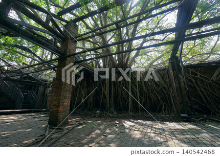 Anping Tree House, Anping, Tainan City, Taiwan 140542468