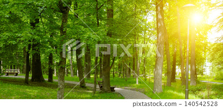 Beautiful panoramic view of a green summer park with a stone pathway, wooden benches, and lush trees under bright sun flare rays, horizontal banner orientation. Beautiful panoramic view of a green summer park with a stone pathway, wooden benches, and lush trees under bright sun flare rays, horizontal banner orientation. 140542528