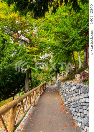 Footpath at St. Beatus Caves entrance in Beatenberg, Bernese Oberland, Switzerland 140542840