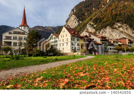 Meadow covered with fallen yellow maple leaves in Unterseen, Switzerland Meadow covered with fallen yellow maple leaves in Unterseen, Switzerland 140542850