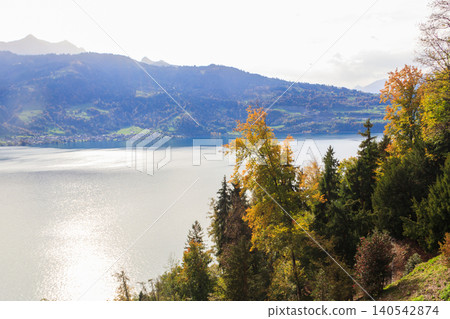 View of the Lake Thun at autumn, Bernese Oberland, Switzerland 140542874