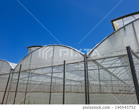 Large greenhouses are seen from a low angle. A chain link fence surrounds them. The clear blue sky highlights the curved roofs of the greenhouses. 140543752