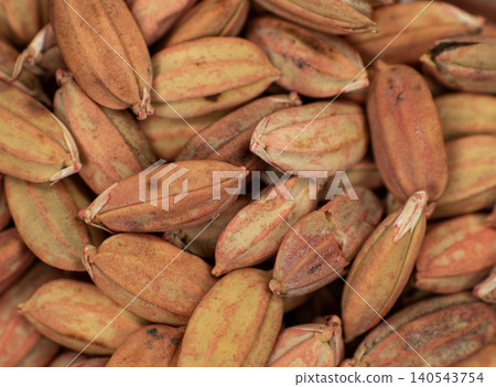 rice, seed, cereal 140543754