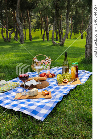 Summer picnic in green clearing park Summer picnic in green clearing park 140544057