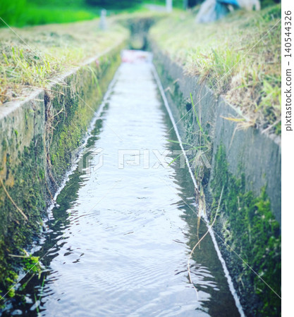 Rice paddy field Rice paddy field 140544326