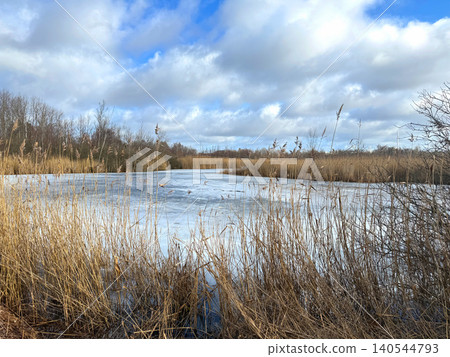 Frozen pond surrounded by dry grass Frozen pond surrounded by dry grass 140544793