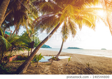 Beautiful tropical beach with palm trees. Daylight 140544800