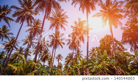 Beautiful tropical beach with palm trees. Daylight Beautiful tropical beach with palm trees. Daylight 140544803
