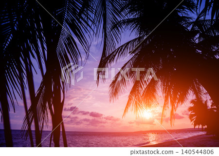 Beautiful tropical beach with palm trees. Sunrises and sunsets. Ocean Beautiful tropical beach with palm trees. Sunrises and sunsets. Ocean 140544806