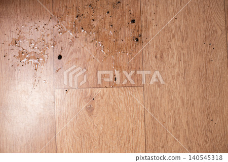 Spilling water and dirt on wood floor 140545318