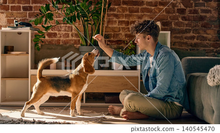 Young man training beagle dog with reward command during obedience session at home. Young man training beagle dog with reward command during obedience session at home. 140545470