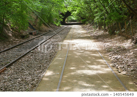 Remains of a disused railway line in Petite Ceinture, 17th arrondissement of Paris (June 12, 2026) Remains of a disused railway line in Petite Ceinture, 17th arrondissement of Paris (June 12, 2026) 140545649