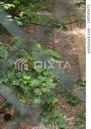 Remains of a disused railway line in Petite Ceinture, 17th arrondissement of Paris (June 12, 2026) Remains of a disused railway line in Petite Ceinture, 17th arrondissement of Paris (June 12, 2026) 140545672