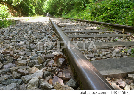 Remains of a disused railway line in Petite Ceinture, 17th arrondissement of Paris (June 12, 2026) Remains of a disused railway line in Petite Ceinture, 17th arrondissement of Paris (June 12, 2026) 140545683