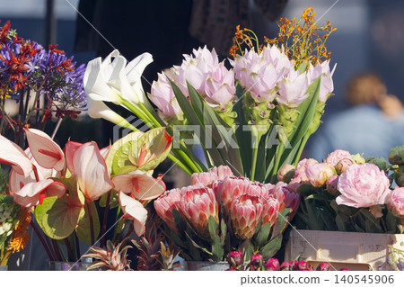Exotic Flowers Protea Peonies and Calla Lilies at Embassy festival in Prague Dejvice Exotic Flowers Protea Peonies and Calla Lilies at Embassy festival in Prague Dejvice 140545906