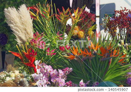 Sunlit tropical blooms and orchids at outdoor flower market at Dejvice market Sunlit tropical blooms and orchids at outdoor flower market at Dejvice market 140545907