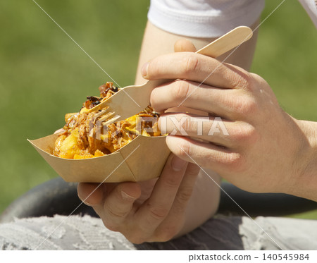 Eating Pulled Pork Loaded Fries At Street Food Festival Eating Pulled Pork Loaded Fries At Street Food Festival 140545984