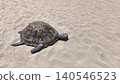 turtle sculpture resting on a sandy beach under bright sunlight, symbolizing marine life, conservation, summer travel, and coastal nature 140546523