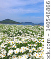 Flower Park Urashima 2026 (Mitoyo City, Kagawa Prefecture) 7 140546866
