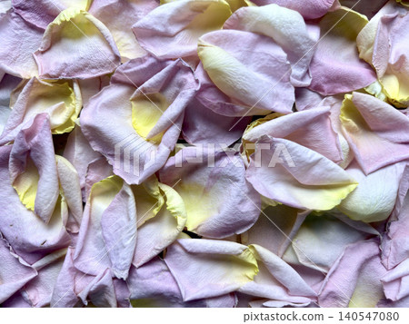 pink rose petals scattered with yellow accents in soft overlapping delicate layers creating natural wellness serenity 140547080