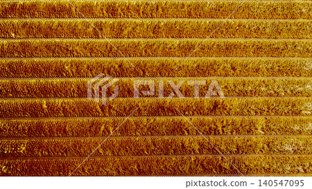 golden ribbed texture macro closeup with warm earthy horizontal stripes and plush fibrous detail in rich amber tones 140547095