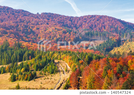 nice view of an autumn forenoon in carpathian mountains. trees on the edge of a hill in fall colors. wonderful forested mountain landscape of ukraine on a sunny weather. outdoors adventure scene nice view of an autumn forenoon in carpathian mountains. trees on the edge of a hill in fall colors. wonderful forested mountain landscape of ukraine on a sunny weather. outdoors adventure scene 140547324
