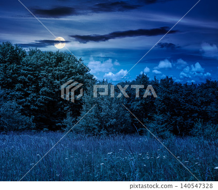 deciduous beech forest near meadow under dramatic sky. nature scenery with tall grass near forest at sunset. carpathian beech forest of ukraine. wild field with grass and herbs deciduous beech forest near meadow under dramatic sky. nature scenery with tall grass near forest at sunset. carpathian beech forest of ukraine. wild field with grass and herbs 140547328