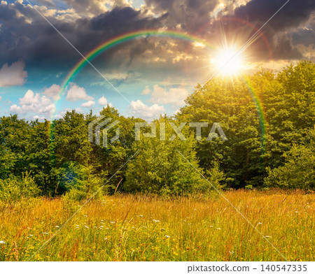 deciduous beech forest near meadow under dramatic sky. nature scenery with tall grass near forest at sunset. carpathian beech forest of ukraine. wild field with grass and herbs deciduous beech forest near meadow under dramatic sky. nature scenery with tall grass near forest at sunset. carpathian beech forest of ukraine. wild field with grass and herbs 140547335