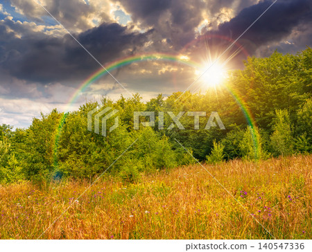 deciduous beech forest near meadow under dramatic sky. nature scenery with tall grass near forest at sunset. carpathian beech forest of ukraine. wild field with grass and herbs deciduous beech forest near meadow under dramatic sky. nature scenery with tall grass near forest at sunset. carpathian beech forest of ukraine. wild field with grass and herbs 140547336