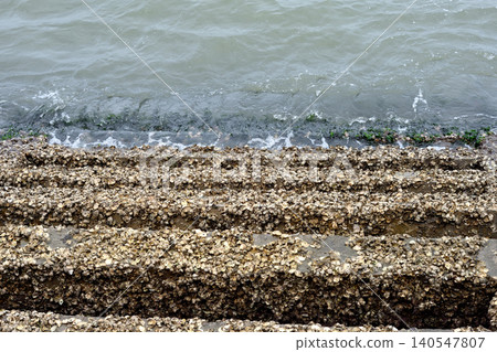 Waves on rocky shell covered shoreline Waves on rocky shell covered shoreline 140547807