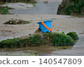 Blue bucket on seaweed rock at the beach 140547809