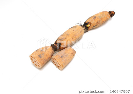 Lotus root on a white background Lotus root on a white background 140547907